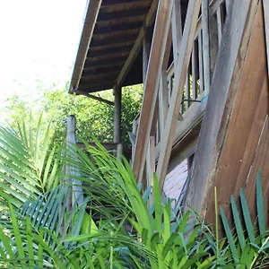 Quinta Di Crivelli Praia do Rosa